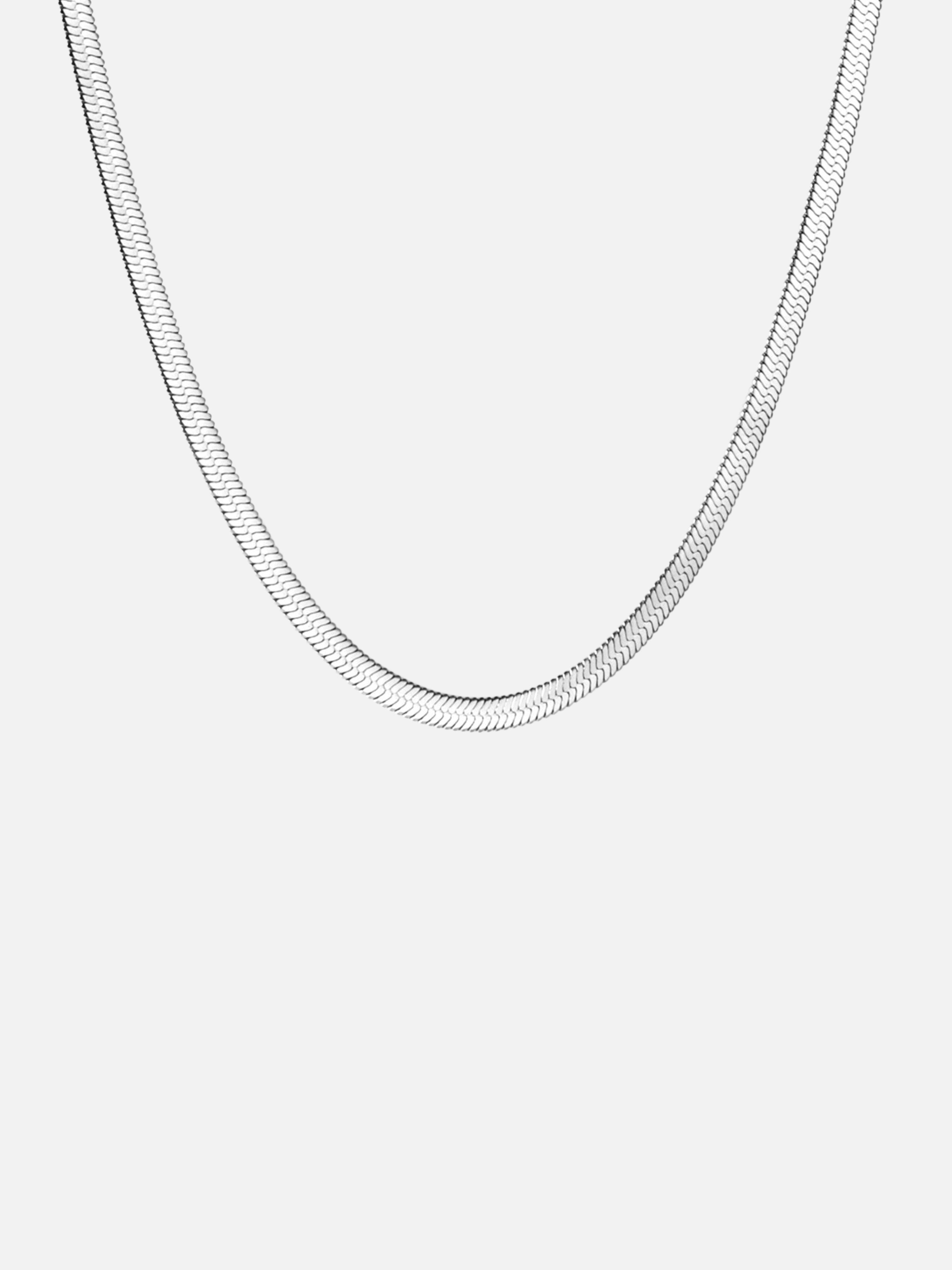 Sardinia Thick Serpent Chain in silver